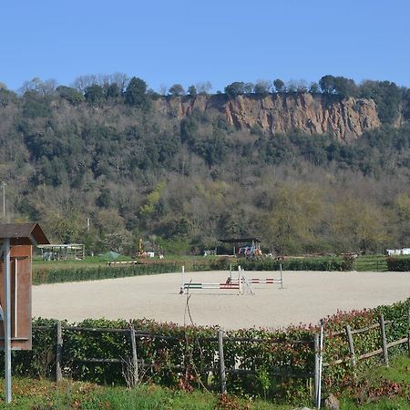 Agriturismo Le Forre Del Treja سيفيتا كاستيلانا المظهر الخارجي الصورة