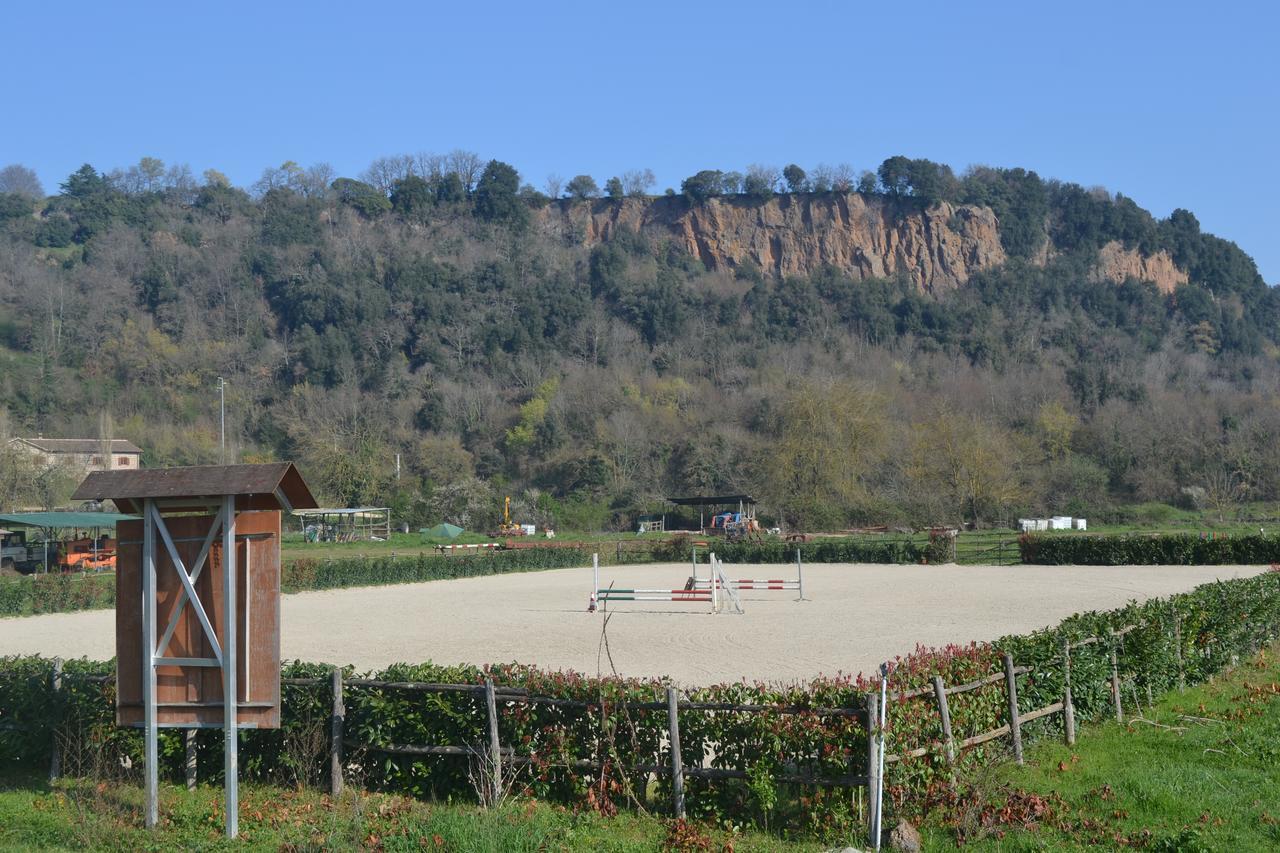 Agriturismo Le Forre Del Treja سيفيتا كاستيلانا المظهر الخارجي الصورة