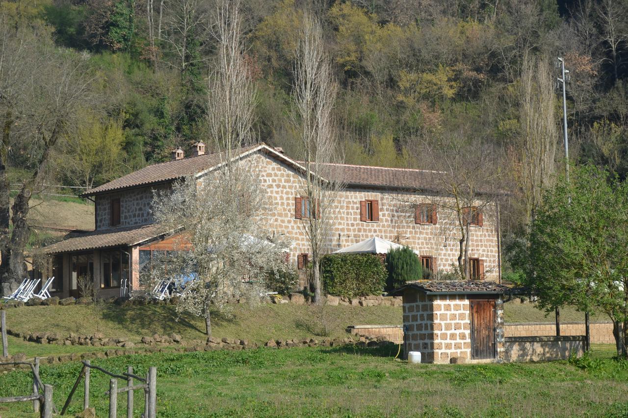 Agriturismo Le Forre Del Treja سيفيتا كاستيلانا المظهر الخارجي الصورة