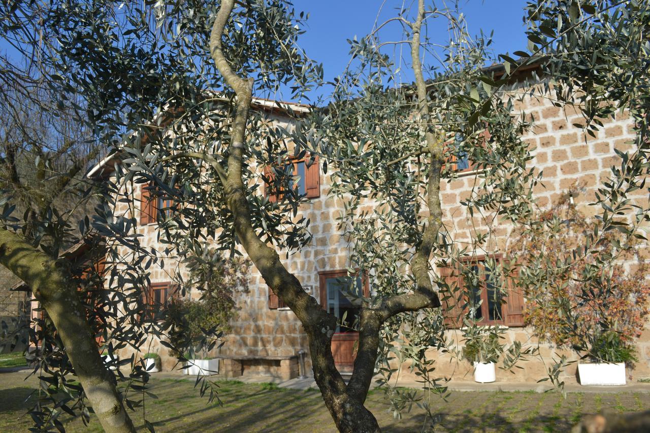 Agriturismo Le Forre Del Treja سيفيتا كاستيلانا المظهر الخارجي الصورة
